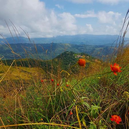 Tower Studio In The Treetops In Altos Del Maria Panama El Picacho エクステリア 写真