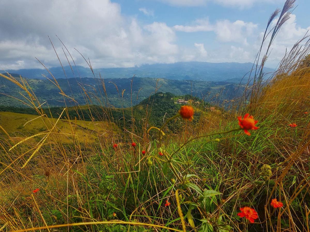 Tower Studio In The Treetops In Altos Del Maria Panama El Picacho エクステリア 写真