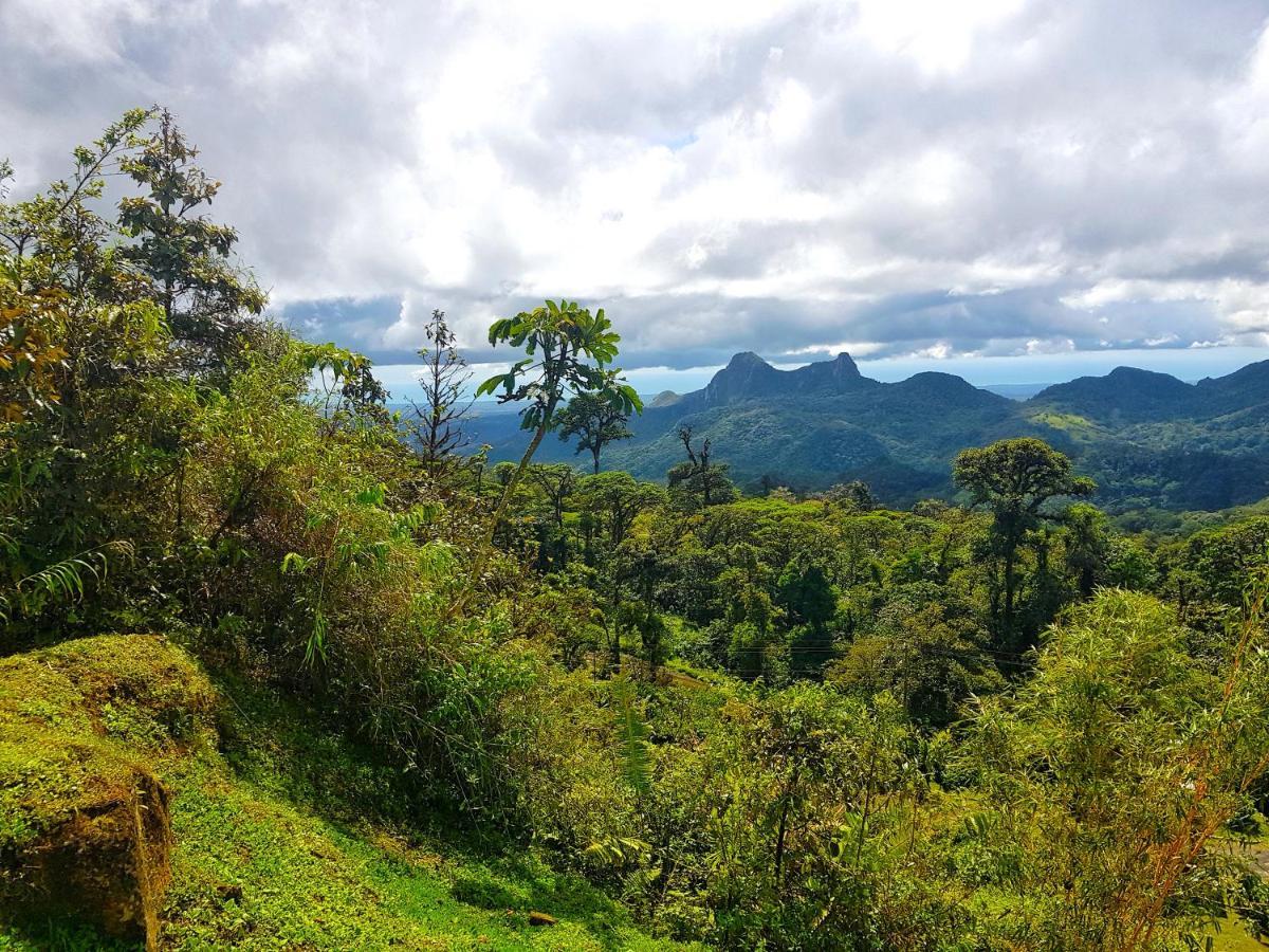 Tower Studio In The Treetops In Altos Del Maria Panama El Picacho エクステリア 写真