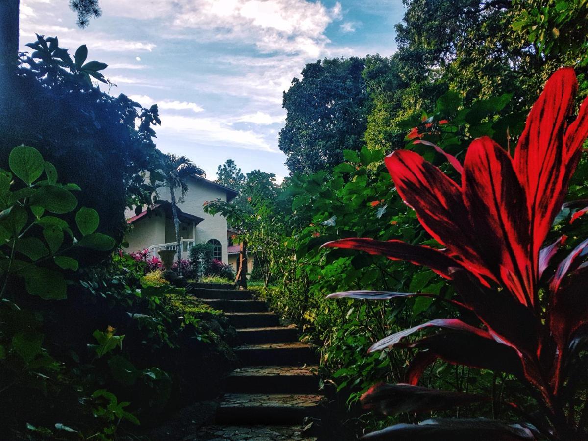 Tower Studio In The Treetops In Altos Del Maria Panama El Picacho エクステリア 写真